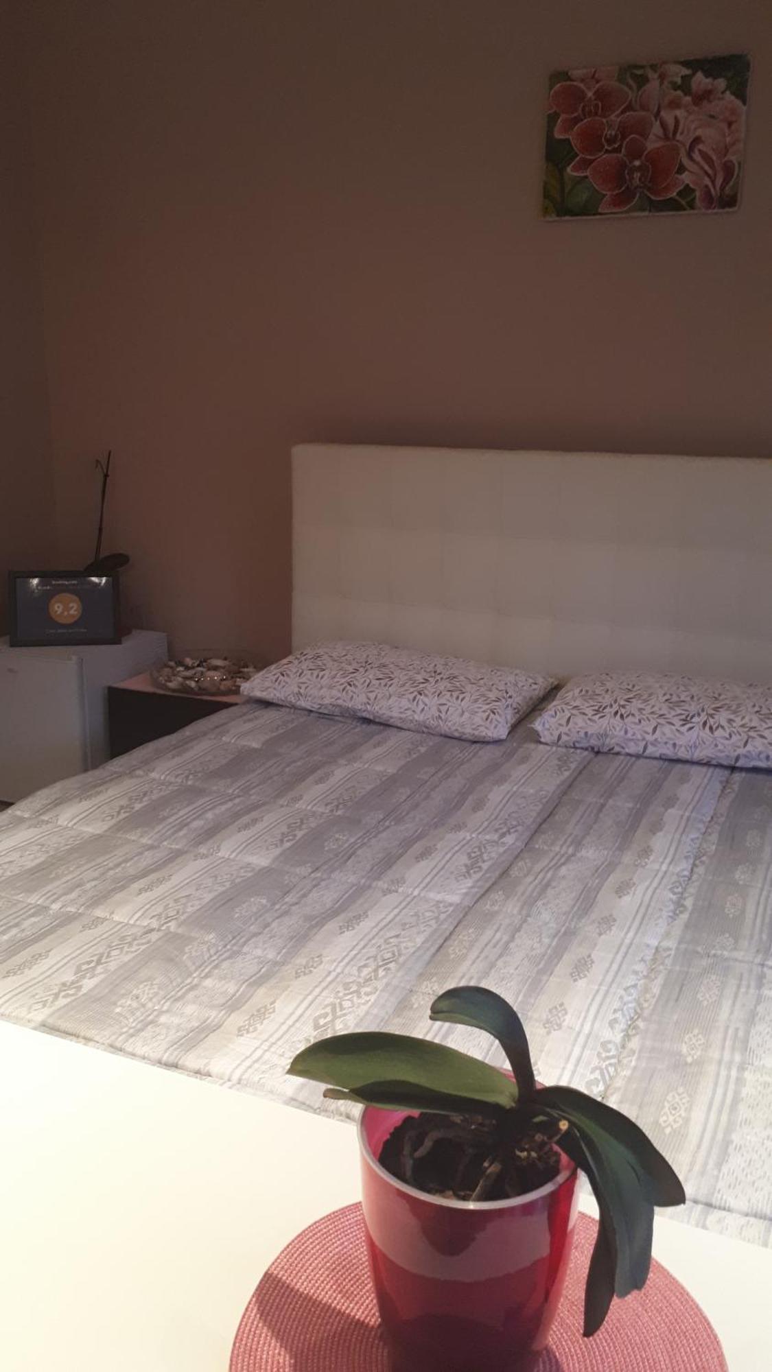 Hotel Casa Delle Orchidee Alba  Pokoj fotografie